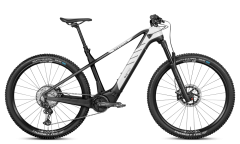 E-Bikes 2021